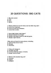 English Worksheet: 20 Big Cats