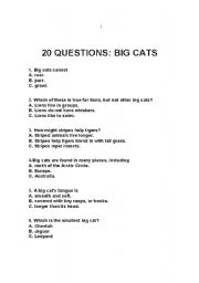 English Worksheet: 20 Big Cats