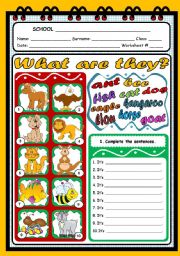 English Worksheet: WHAT ARE THEY? (ANIMALS)