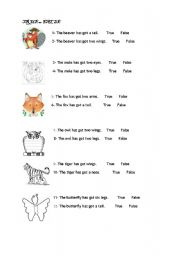 English worksheet: True or False for animals