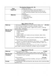 English Worksheet: Shopping/Project Runway Lesson Plan