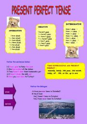 English Worksheet: the present perfect