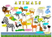 English Worksheet: ANIMALS PICTIONARY