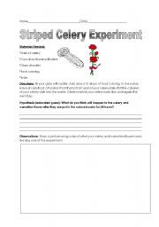 English worksheet: Colored Celery Experiment