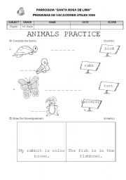 English worksheet: animals practice
