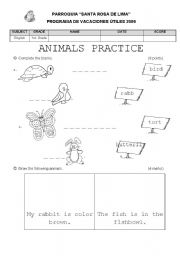 English Worksheet: animals practice