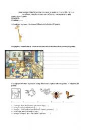 English worksheet: revision test