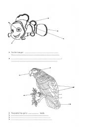 English worksheet: animals colouring page