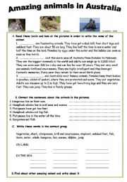 English Worksheet: Amazing animals in Australia