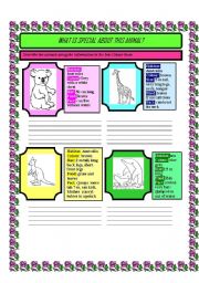 English Worksheet: Animal facts (3 pages) (12 animals)