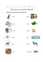 English worksheet: Foods Animals Eat