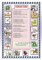 English Worksheet: Animal quiz