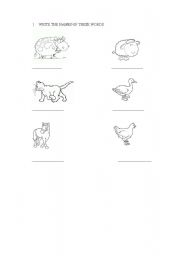 English worksheet: ANIMALS