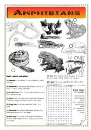 English Worksheet: Amphibians - Pond Life