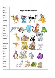 English Worksheet: Animals