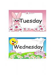 Tuesday & Wednesday Flashcards