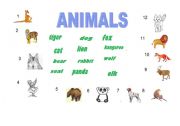 English worksheet: Animals