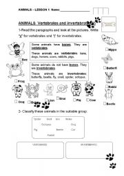 English Worksheet: Vertebrates and invertebrates 