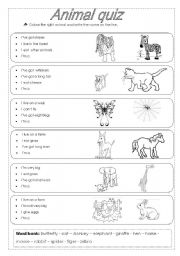 Animal quiz - ESL worksheet by tippinella