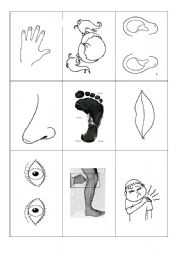 English Worksheet: loteria body parts