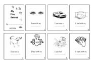 English Worksheet: My 5 Senses   - Minibook