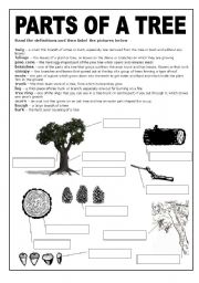 English Worksheet: a black and white worksheet about the parts of a tree