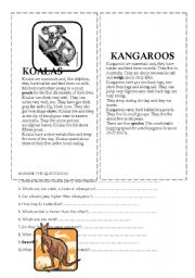 English Worksheet: koalas and kangaroos