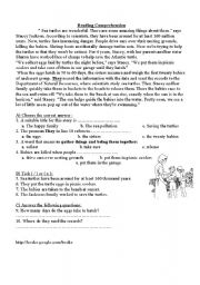 English Worksheet: Sea turtles