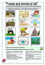 English Worksheet: forests and animals at risk 