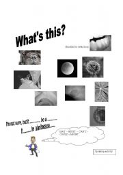 English worksheet: WHAT CAN YOU SEE?
