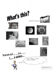 English Worksheet: WHAT CAN YOU SEE?