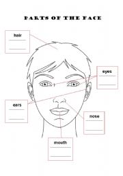 English worksheet: Parts of the Face