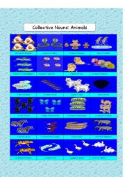 English Worksheet: Collective Nouns: Animals