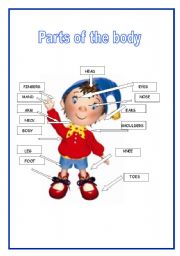 English Worksheet: Parts of the body