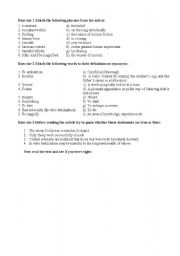 English Worksheet: Human Cloning 