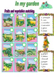 English Worksheet: in my garden