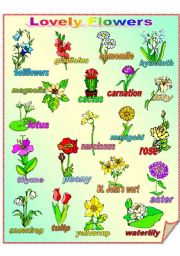 English Worksheet: Lovely Flowers **fully editable