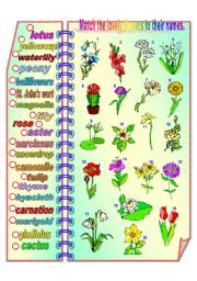 English Worksheet: Lovely Flowers - matching activity **fully editable