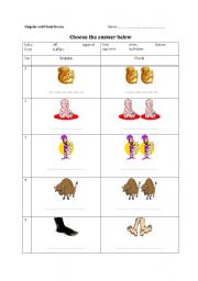 English worksheet: Plural and Singular