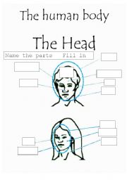 English worksheet: The Human Body - The head fill in the box worksheet