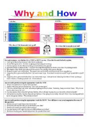 Why vs How:  Seeing and Knowing the Difference + Answer Key