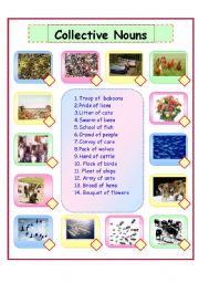 English Worksheet: Collective Nouns