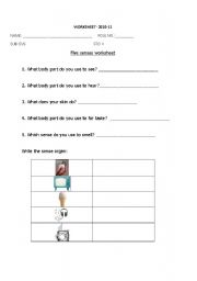 English Worksheet: Sense organs