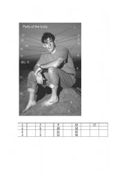 English Worksheet: Part of Body