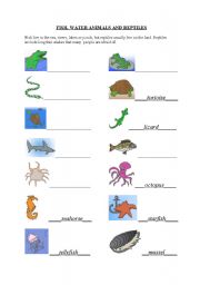 English worksheet: Water animals, reptiles, fish