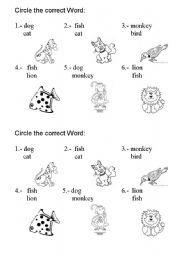 English Worksheet: identifying animals