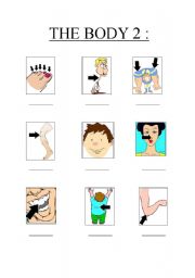 English worksheet: The Body Part 2