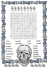 English Worksheet: skeleton