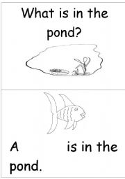 What is in the pond?