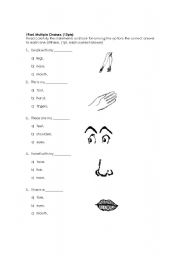 English Worksheet: Body parts